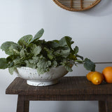Divvy Ceramic Low Bowl