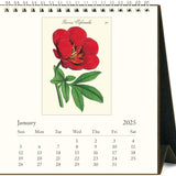 2025 Desk Calendar, Botanica