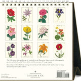 2025 Desk Calendar, Botanica