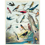 Experience the joy of assembling the Audubon Birds Puzzle, adorned with exquisite bird illustrations. This 1000-piece jigsaw puzzle is a must-have for bird enthusiasts, offering hours of entertainment and admiration.