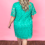 Day Dream Believer Lace Button Down Collared Dress, Green