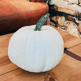 FEAST & CREATE: A Petals & Pumpkin Workshop 10/09