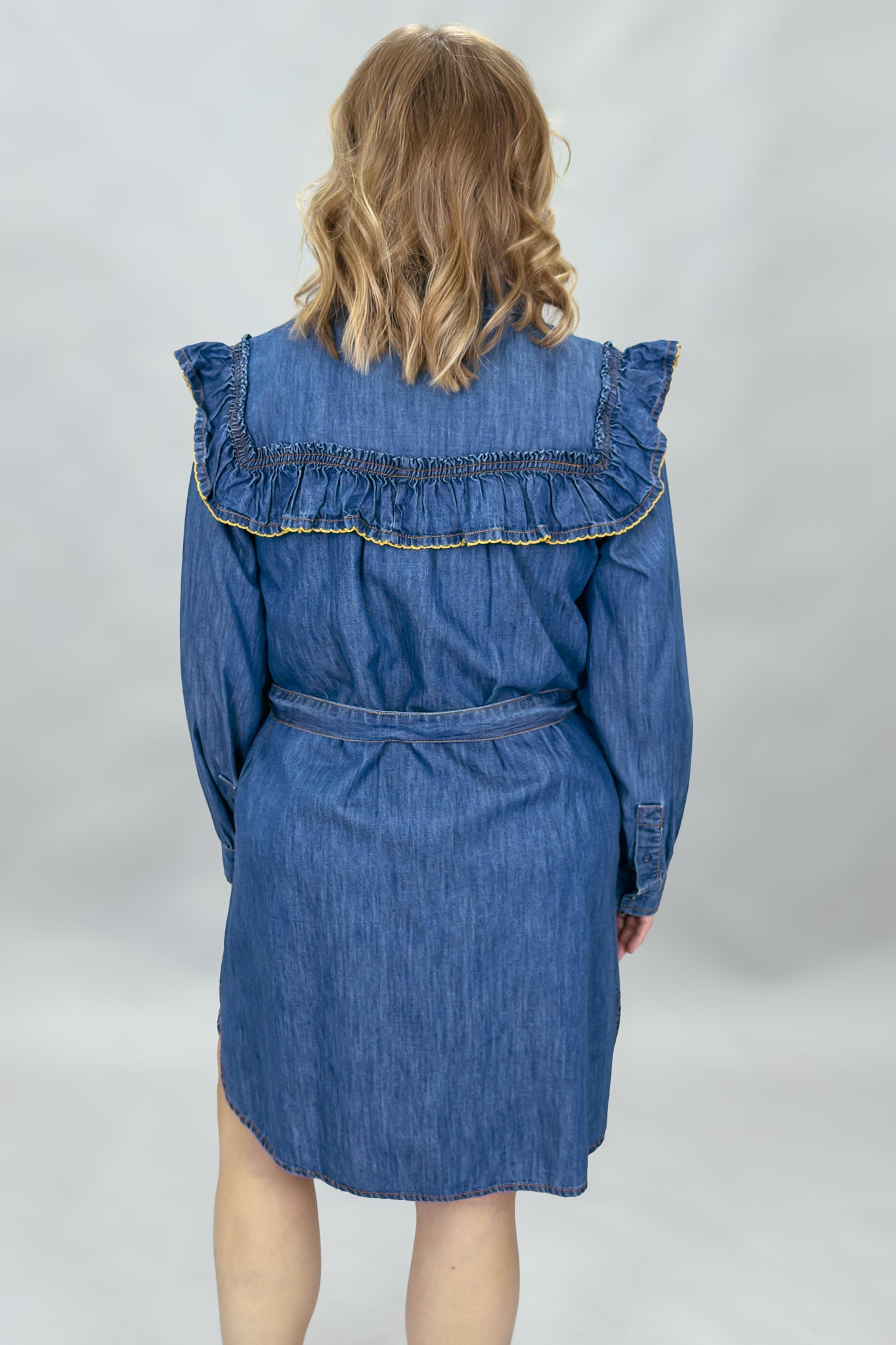 Ivy Jane blue denim mini dress with ruffled yoke and waist tie; back view.