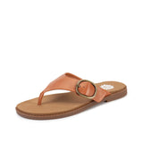 Shoes, Yellowbox Igloo Tan Sandal