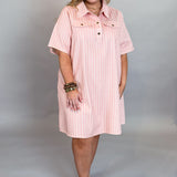 Please Please Please Striped Denim Collared Dress, Pink