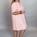 Please Please Please Striped Denim Collared Dress, Pink