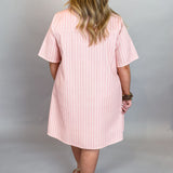 Please Please Please Striped Denim Collared Dress, Pink