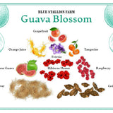 Guava Blossom Almond Milk & Acacia Honey Bar Soap