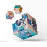 Potted Patterns magnetic puzzle cube with botanical artwork and separated magnetic pieces
