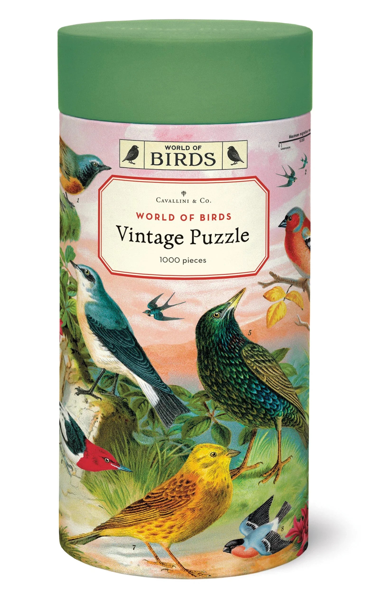 Cavallini World of Birds 1,000-piece puzzle tube with colorful bird illustrations and green lid