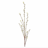 53" Pussy Willow Branch