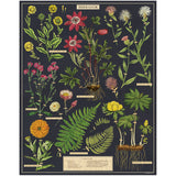 Herbarium Puzzle, 1000pc